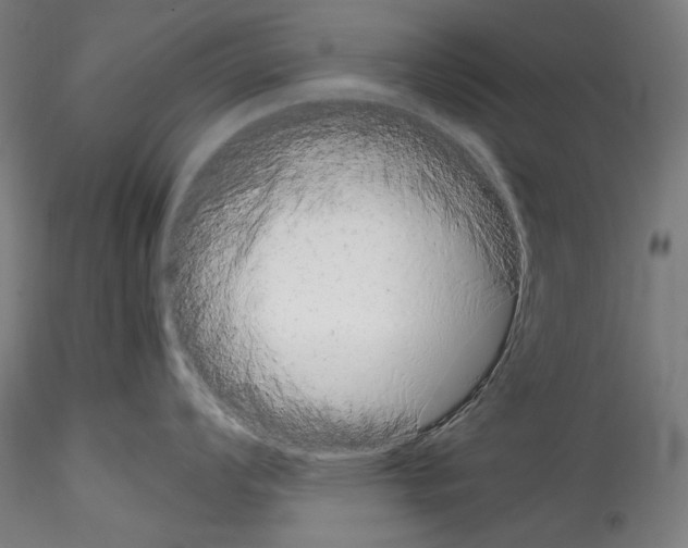 X0000114411008200911271521