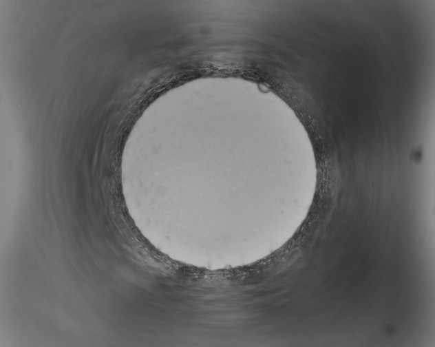 X0000114411009200911271521