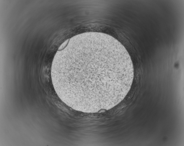 X0000114411010200911271521