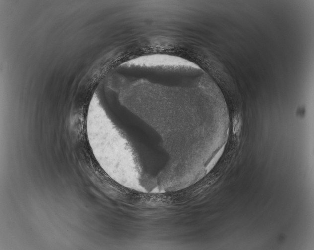 X0000114411011200911271521