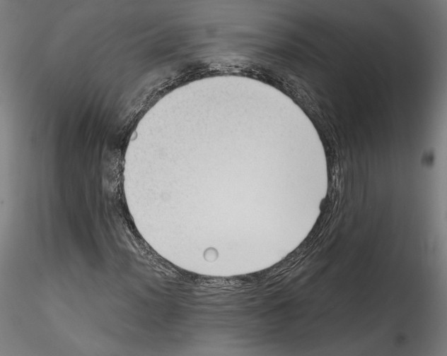 X0000114411012200911271521