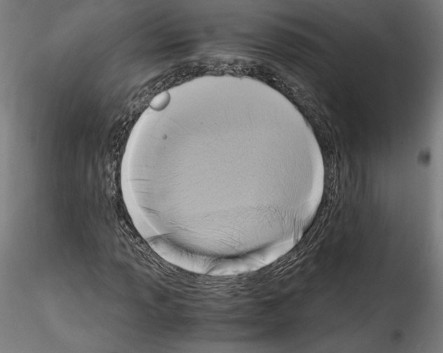 X0000114411013200911271521