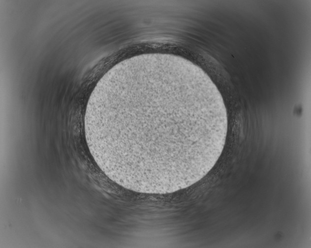 X0000114411014200911271521