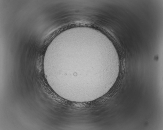 X0000114411015200911271521