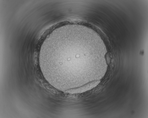 X0000114411016200911271521