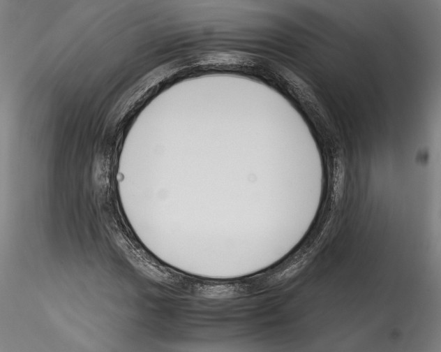 X0000114411017200911271521