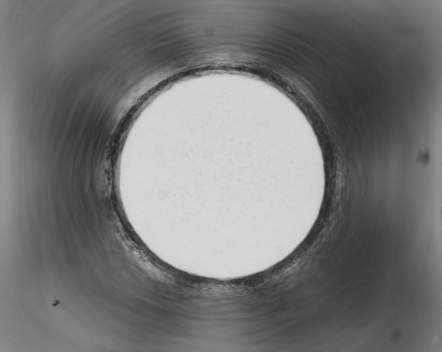 X0000114411018200911271521