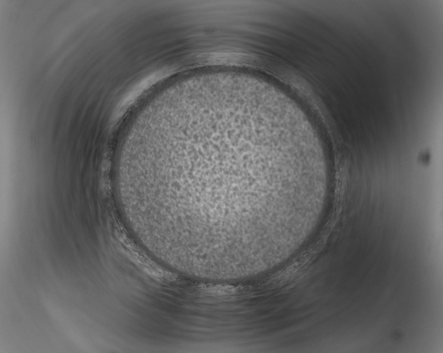 X0000114411019200911271521