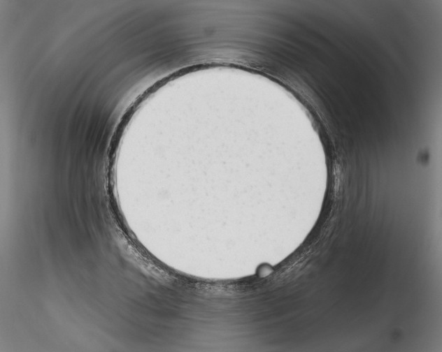 X0000114411020200911271521