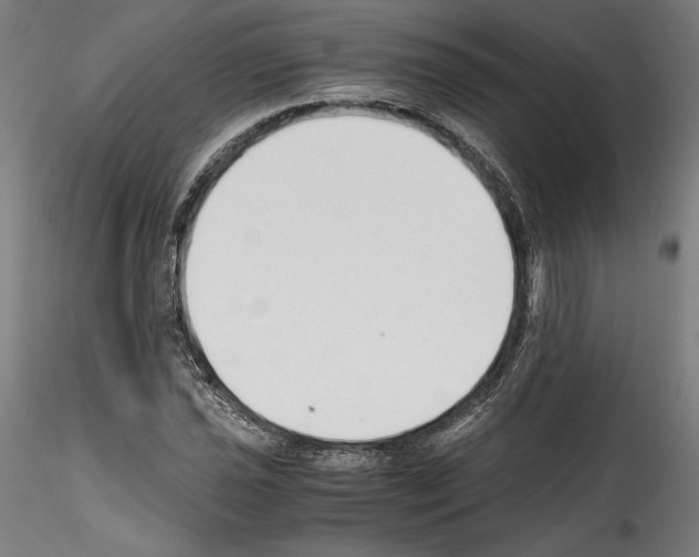 X0000114411021200911271521