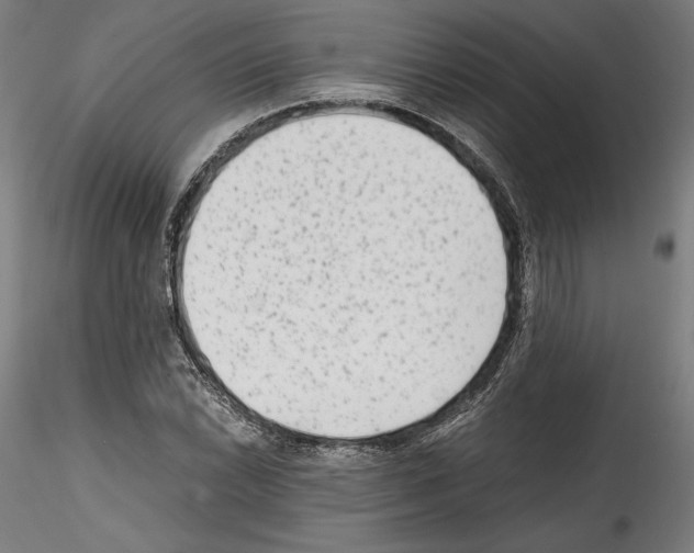 X0000114411022200911271521