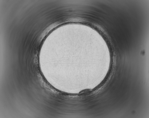 X0000114411025200911271521