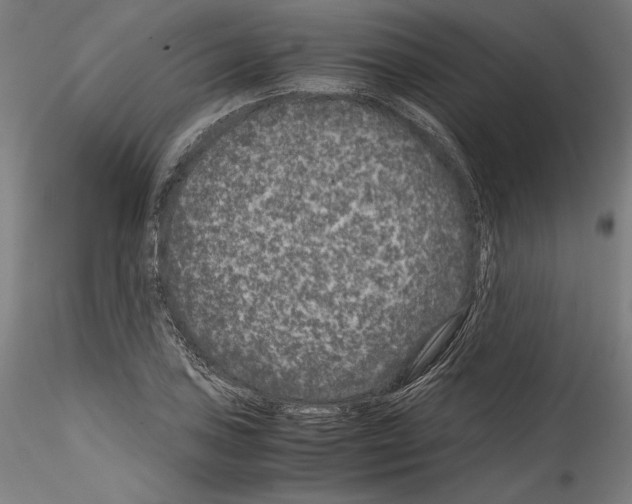 X0000114411027200911271521