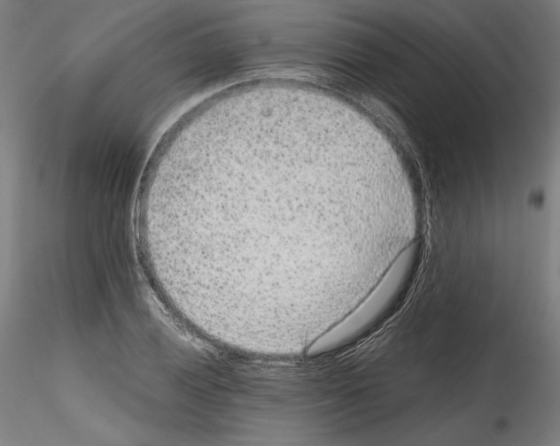 X0000114411028200911271521