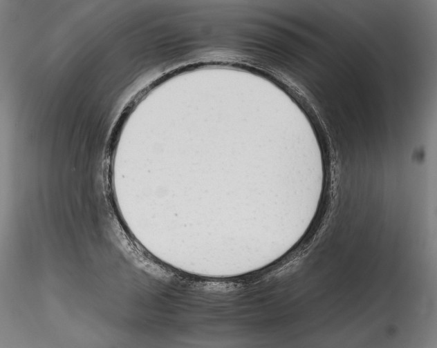 X0000114411029200911271521