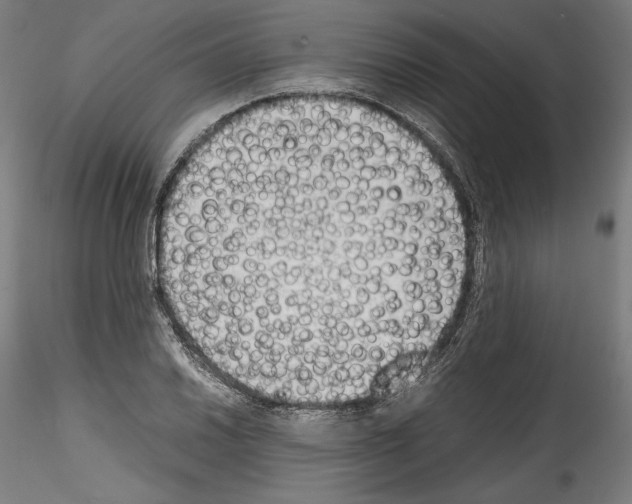 X0000114411030200911271521