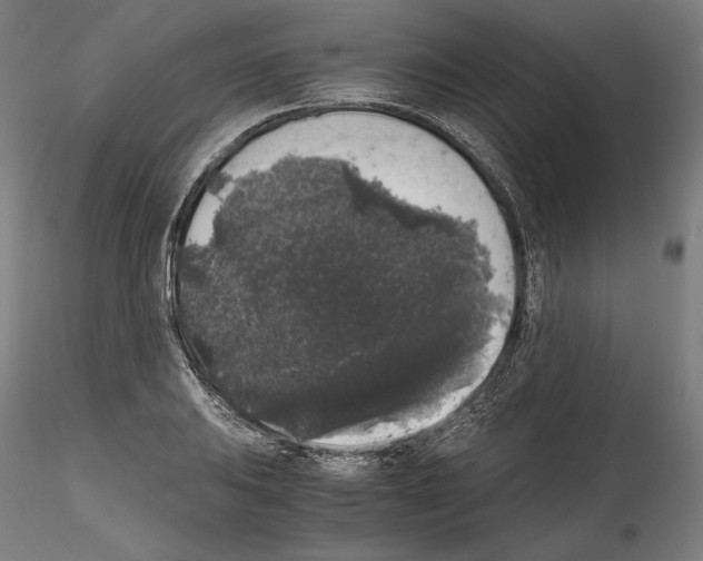 X0000114411031200911271521