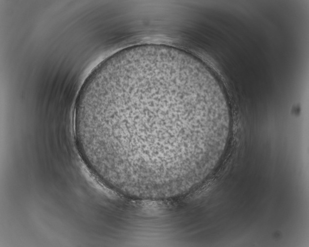 X0000114411032200911271521