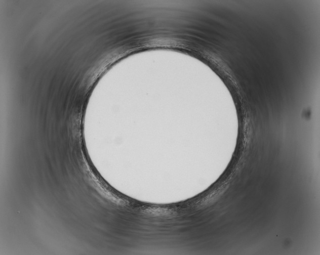 X0000114411033200911271521