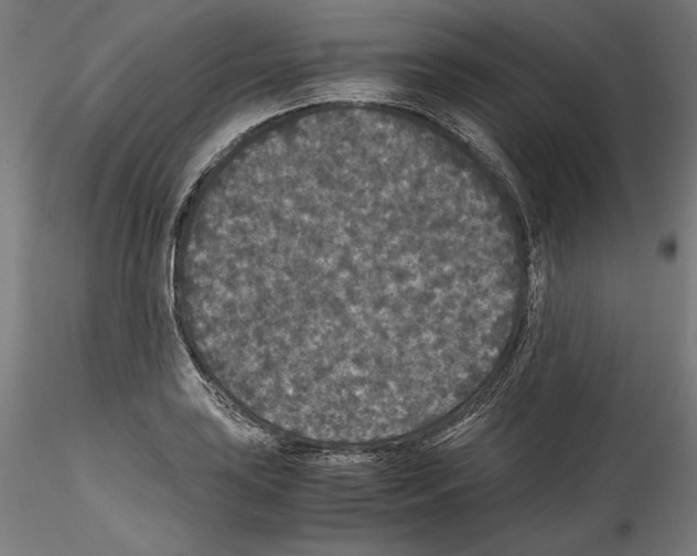 X0000114411035200911271521