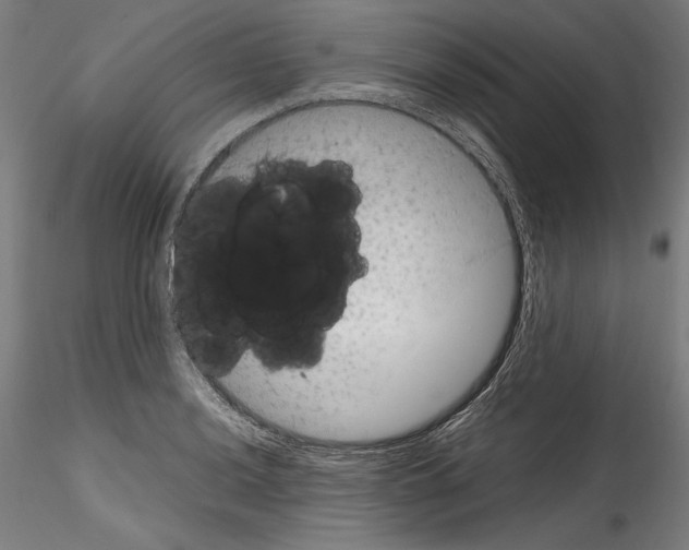 X0000114411036200911271521