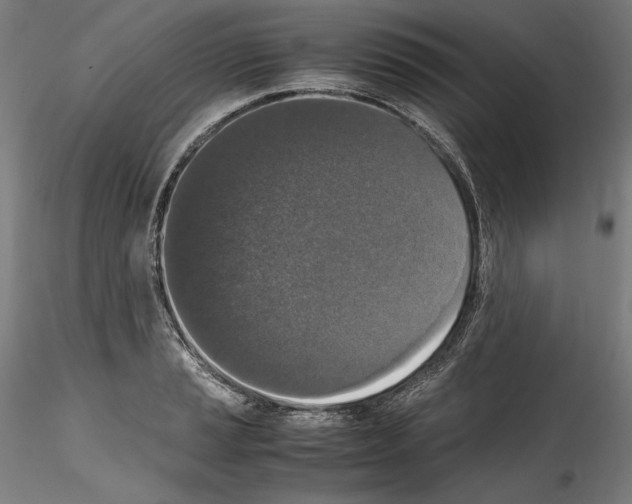 X0000114411037200911271521