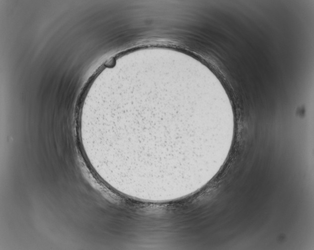 X0000114411038200911271521