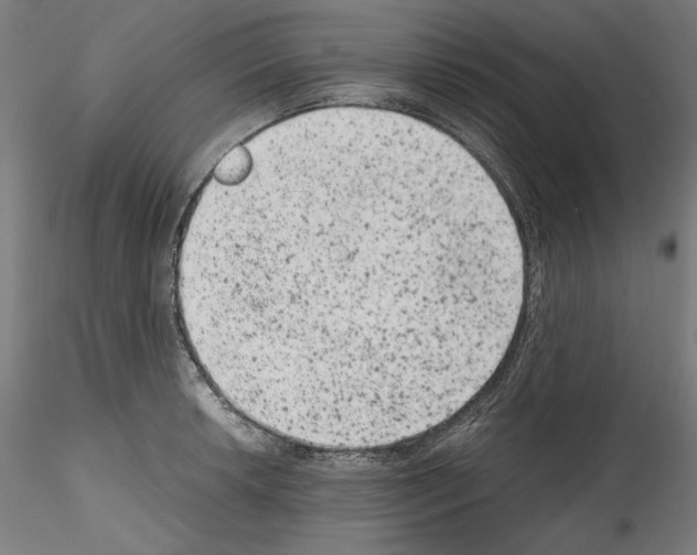 X0000114411042200911271521