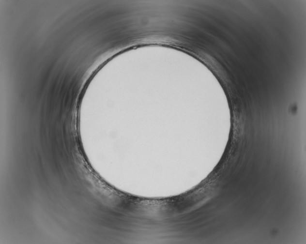 X0000114411044200911271521