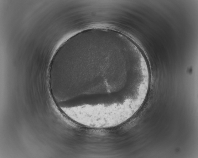 X0000114411045200911271521