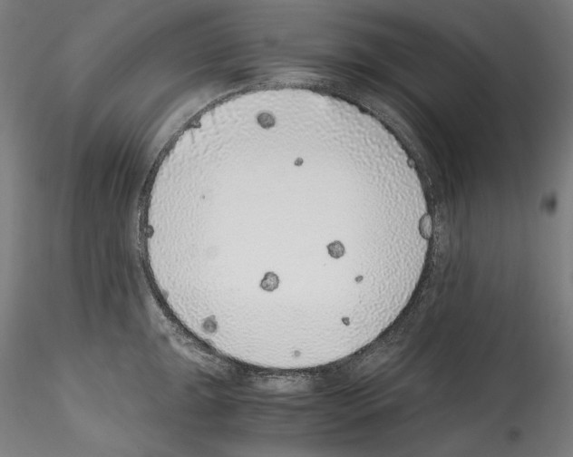 X0000114411047200911271521