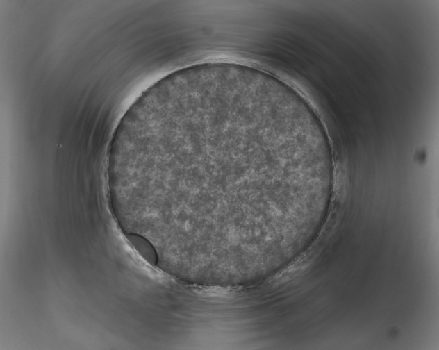 X0000114411048200911271521