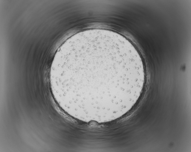 X0000114411049200911271521