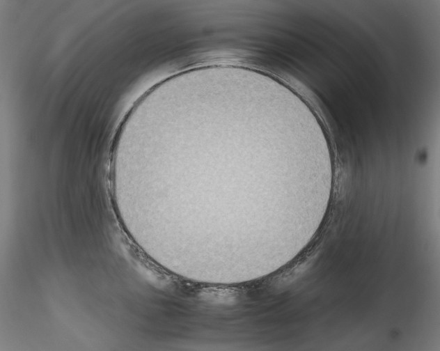 X0000114411051200911271521