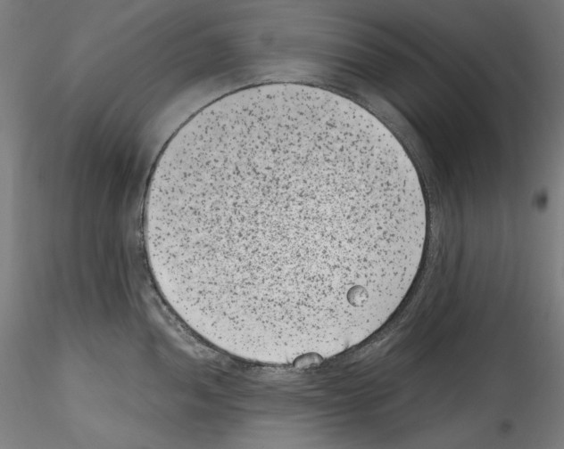 X0000114411052200911271521