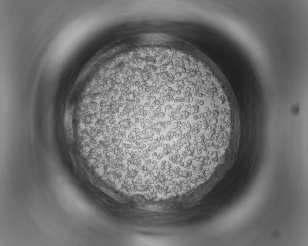 X0000114411054200911271521