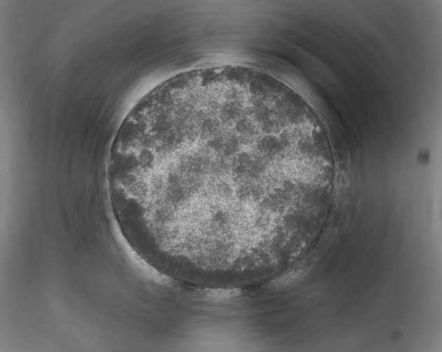 X0000114411055200911271521