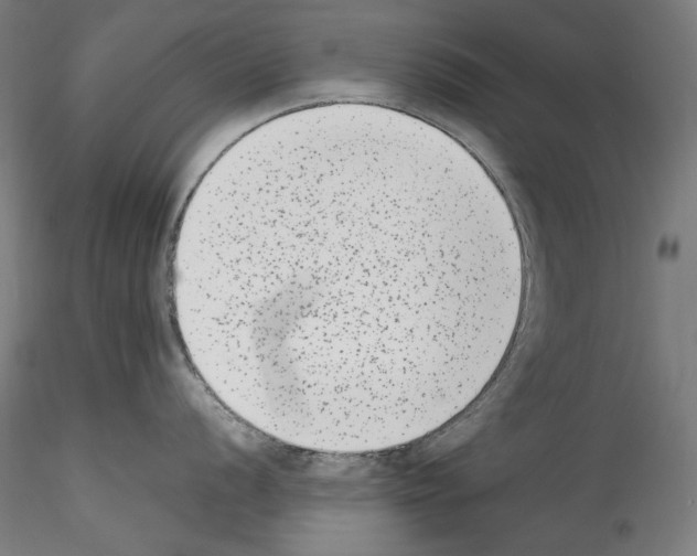 X0000114411056200911271521