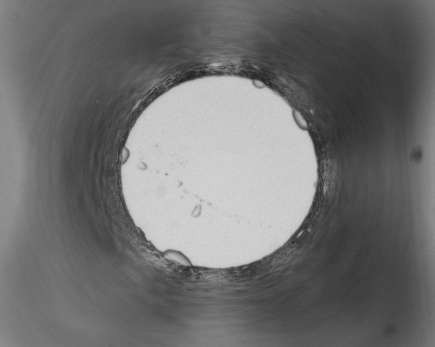 X0000114411057200911271520