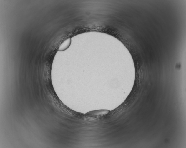 X0000114411058200911271520