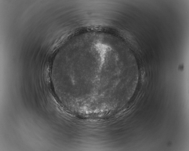 X0000114411060200911271520