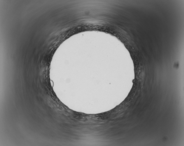 X0000114411061200911271520