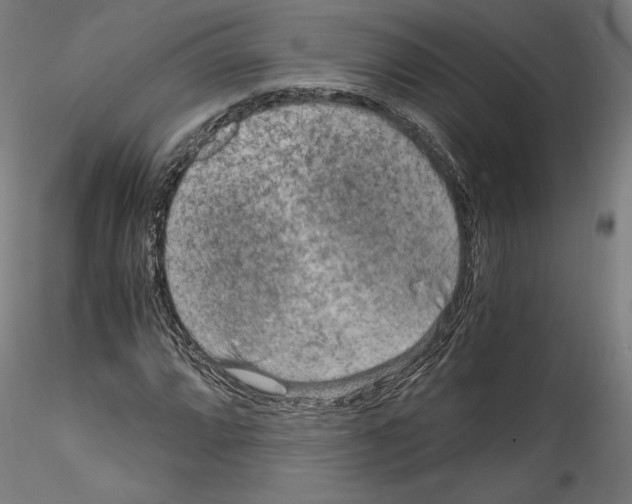 X0000114411064200911271520