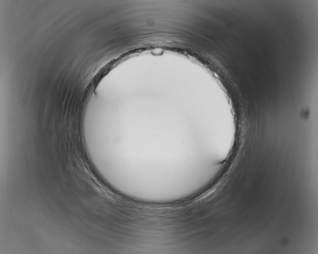 X0000114411065200911271520