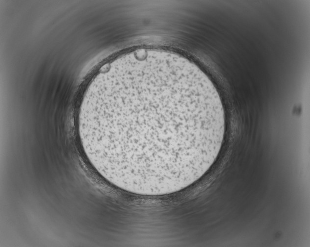 X0000114411070200911271520