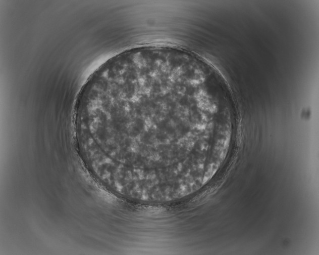 X0000114411071200911271520