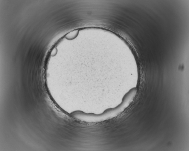 X0000114411072200911271520