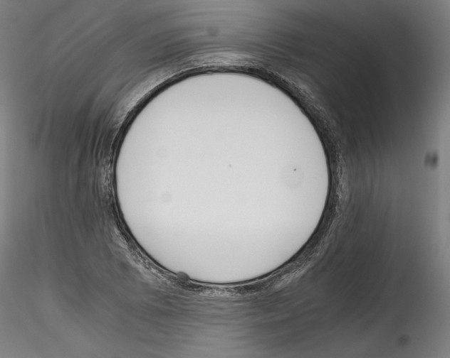 X0000114411073200911271520