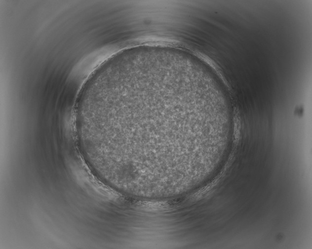 X0000114411074200911271520