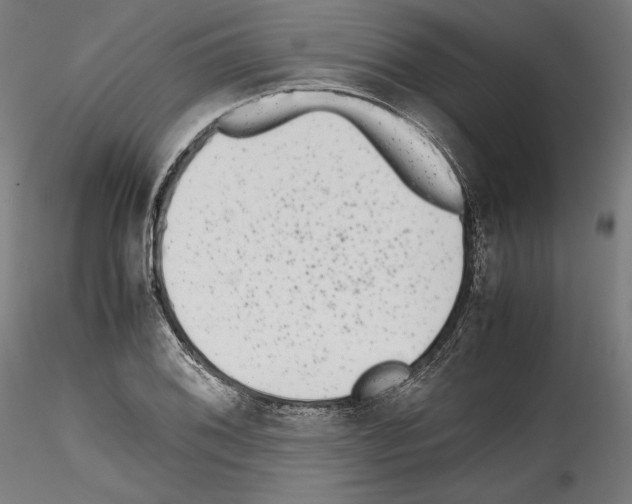 X0000114411076200911271520